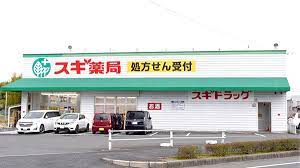ドラックストア　スギドラッグ 元宮店（ドラッグストア）まで669m