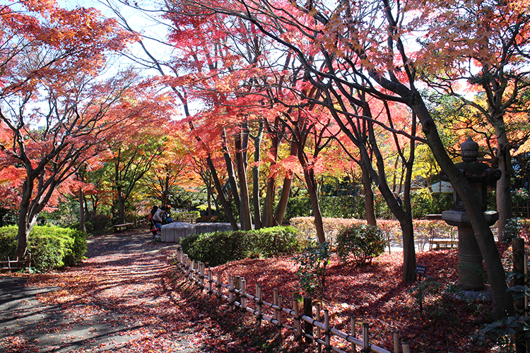 公園　池田山公園（公園）まで383m