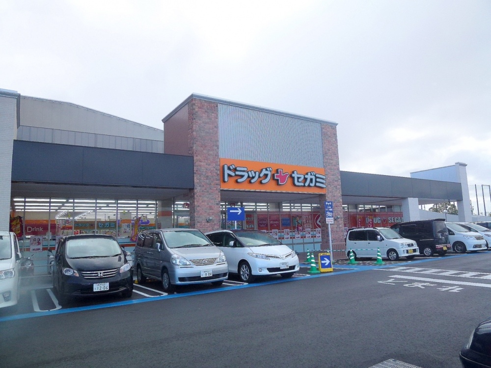 ドラックストア　ドラッグセガミ伊丹荒牧店（ドラッグストア）まで919m
