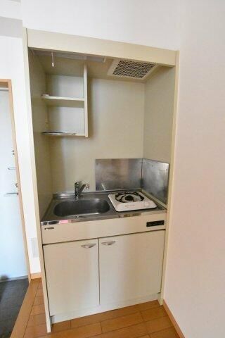 フラバンジェノールのキッチン写真