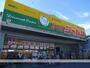 その他　ジャパン針中野店（その他）まで331m
