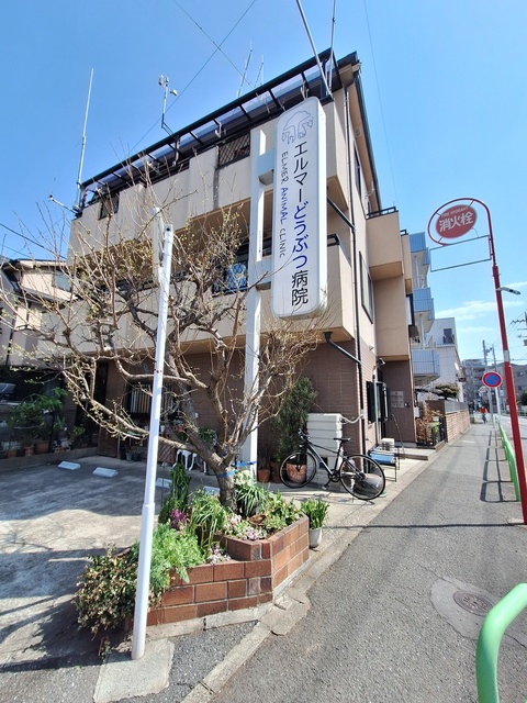 その他　エルマーどうぶつ病院（その他）まで450m