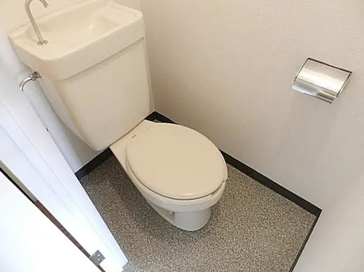 トイレ　他号室の写真です。