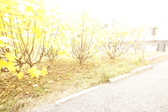 眺望　※別部屋の写真です