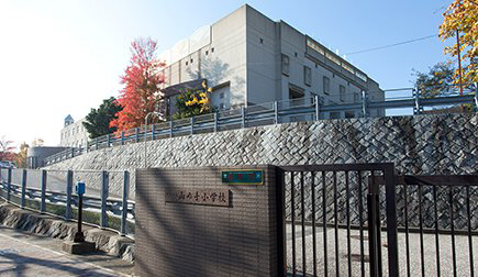 小学校　山の手小学校（小学校）まで347m