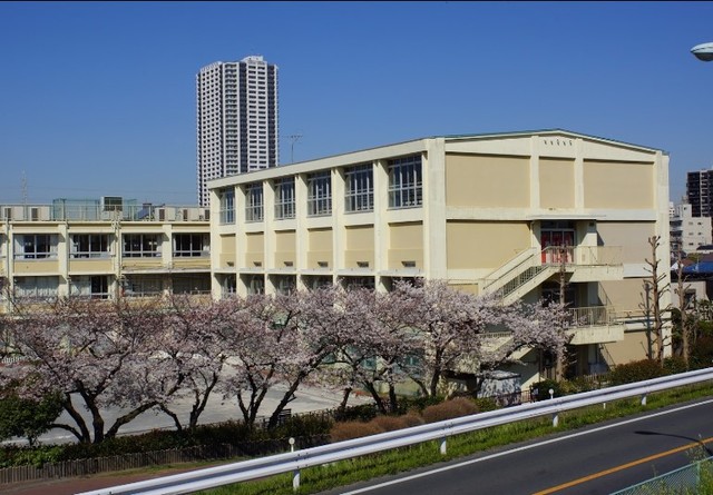 【アルトテラ柴又の小学校】