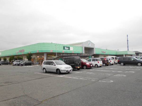 スーパー　トミダヤ巣南店（スーパー）まで350m