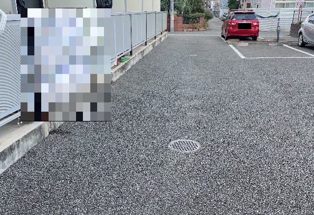 庭