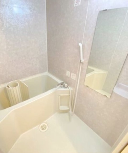 バス・シャワールーム　別部屋同仕様タイプ