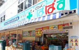 ドラックストア　どらっぐぱぱす根津店（ドラッグストア）まで564m