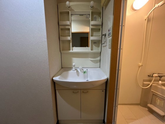 洗面設備　※別部屋の写真です