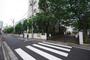 小学校　文京区立根津小学校（小学校）まで230m