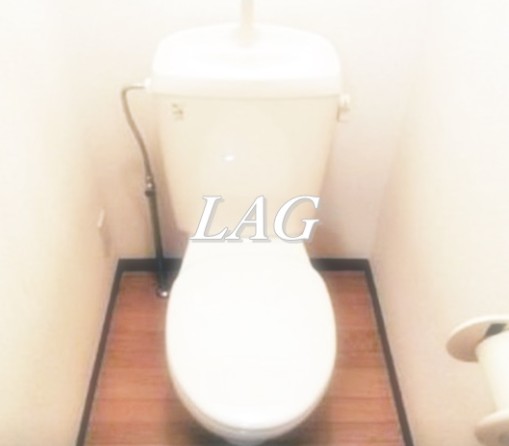 トイレ　トイレです。