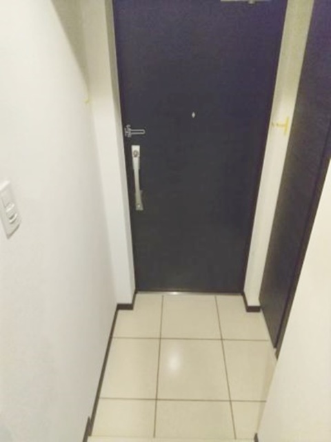 玄関　同仕様タイプ