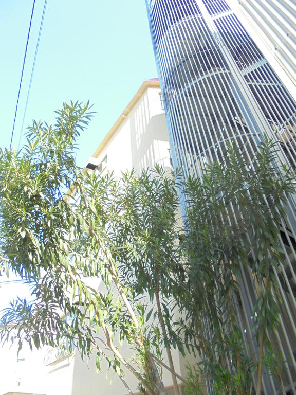 建物外観　閑静な住宅街・鉄筋コンクリート造☆
