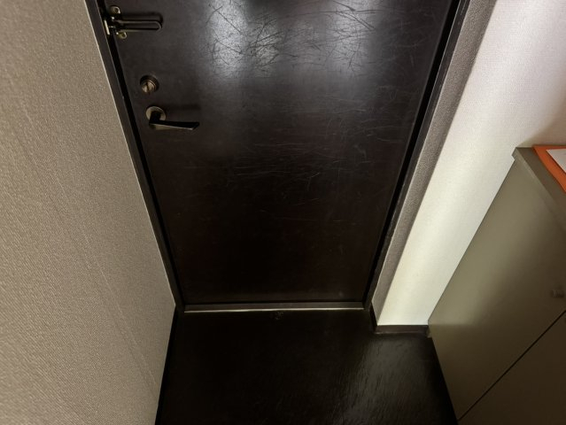 玄関　同仕様・参考写真となります。