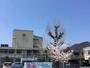 中学校　周南市立富田中学校（中学校）まで1128m