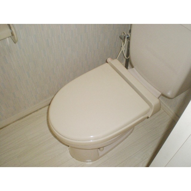 ハイツZAKOJIのトイレ写真