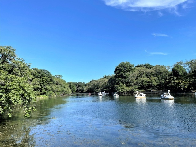 【プレステージ吉祥寺の公園】