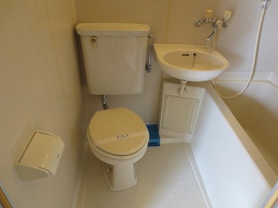 トイレ　※別号室の写真です。