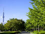 公園　都立猿江恩賜公園南側入口（公園）まで164m