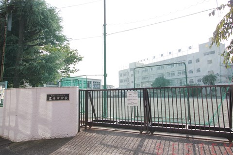 中学校　文京区立文林中学校（中学校）まで597m