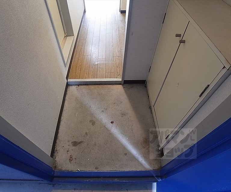 玄関　玄関スペース