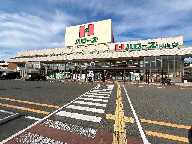 その他　ハローズ円山店（その他）まで203m