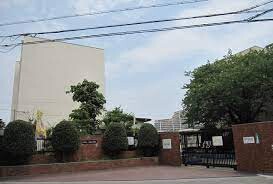 小学校　大桐小学校（小学校）まで270m