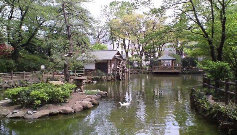 公園　渋谷区立鍋島松涛公園（公園）まで252m