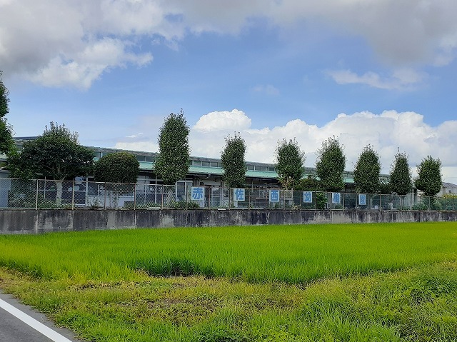 【浜松市浜名区根堅のアパートの幼稚園・保育園】