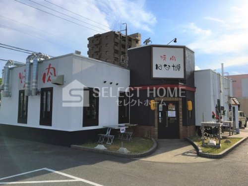 飲食店　焼肉 はな博 若松店（飲食店）まで525m