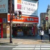 【岡山市北区中山下のマンションのドラックストア】