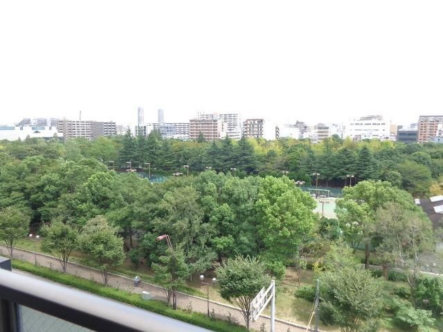 眺望　目の前緑豊な木場公園