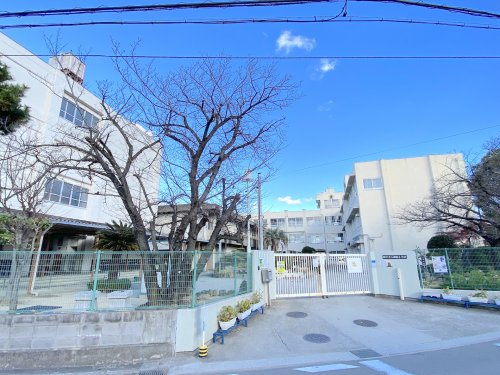 小学校　堺市立八田荘小学校（小学校）まで619m