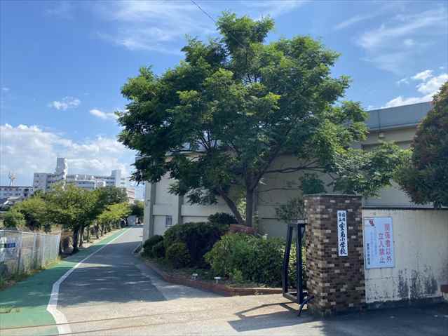 小学校　★福岡市立小学校室見小学校（小学校）まで782m