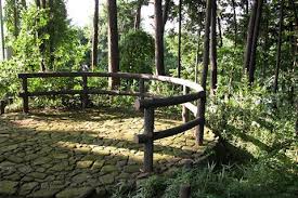 公園　元締山の森緑地（公園）まで316m