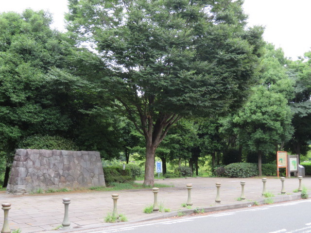 【サウスウィンドウの公園】