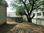 中学校　所沢市立山口中学校（中学校）まで588m