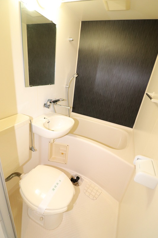 New StoRK Apartment 禁野本町のトイレ写真
