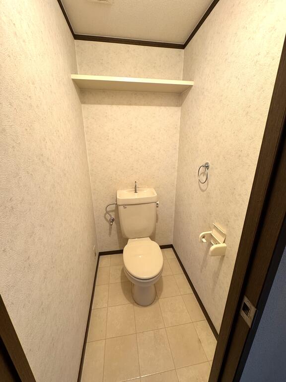 金剛マンション 105のトイレ写真