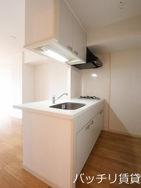 キッチン　別号室タイプの為、現状を優先いたします