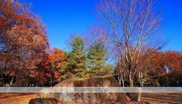 公園　智光山公園（公園）まで3200m