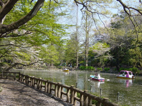公園　都立井の頭公園(井の頭公園駅口)（公園）まで117m