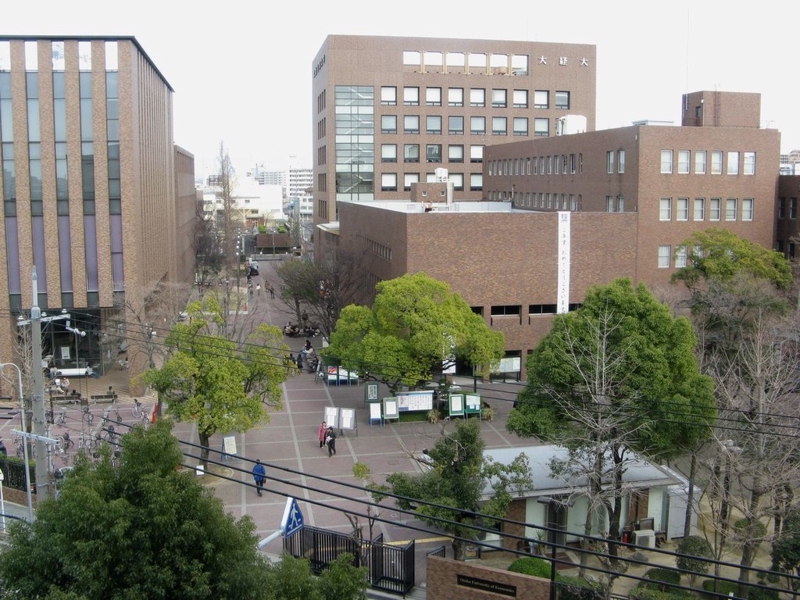 大学・短大　大阪経済大学（大学・短大）まで800m