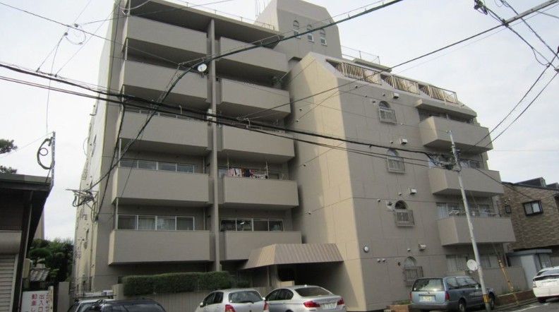 庭