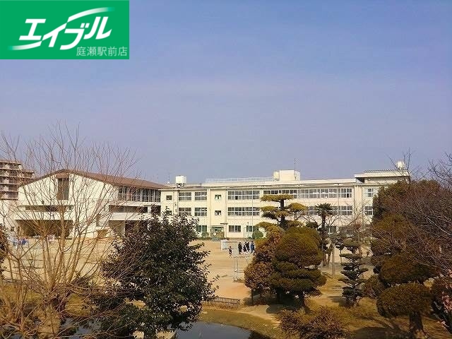 小学校　岡山市立岡山中央小学校（小学校）まで347m