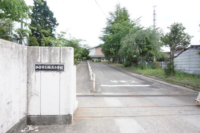 小学校　仙台市立桜丘小学校（小学校）まで470m