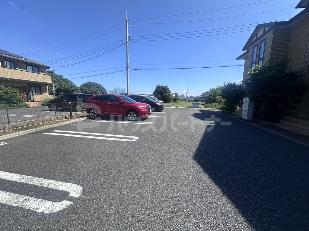 ファセリアのその他写真