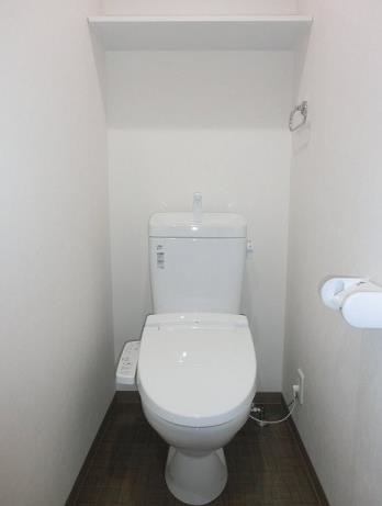 ホワイトストーン白石のトイレ写真